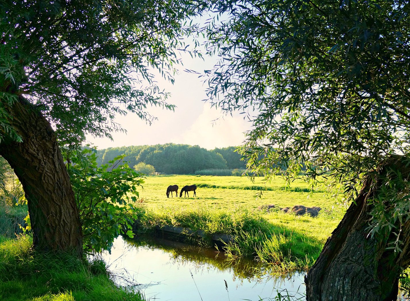 Wat te doen in Groningen? Alle highlights!