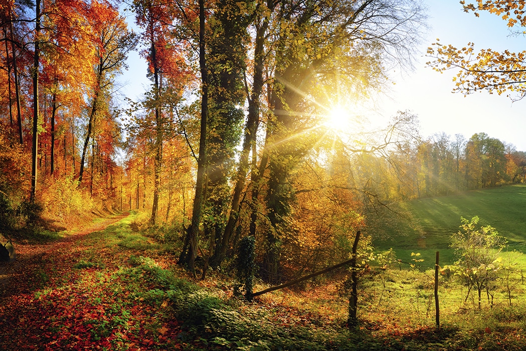 Weg in de herfstvakantie? → Herfstvakantie-tips voor 2024