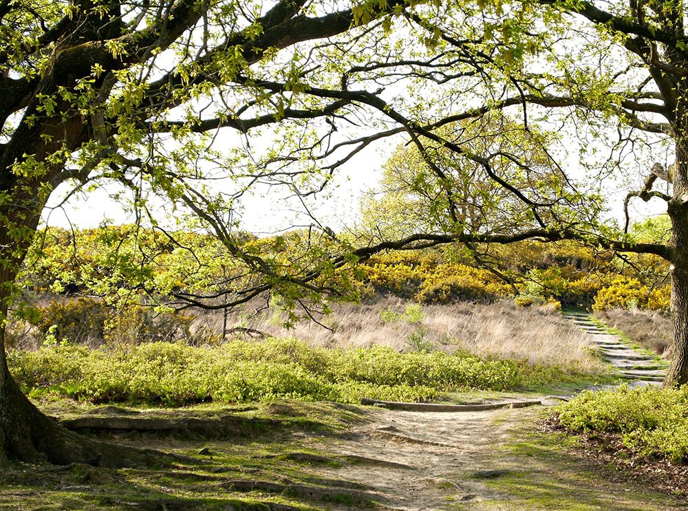 WhatsApp intelligence overview