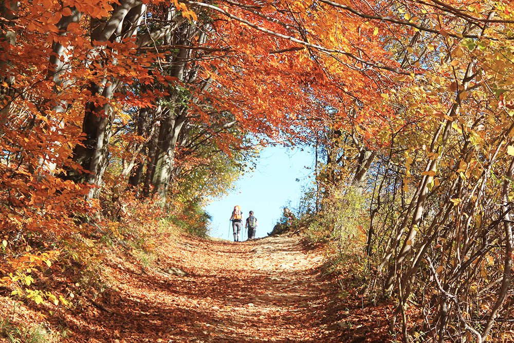 5 tips voor een herfstvakantie in Duitsland Lekkerwegtips.nl