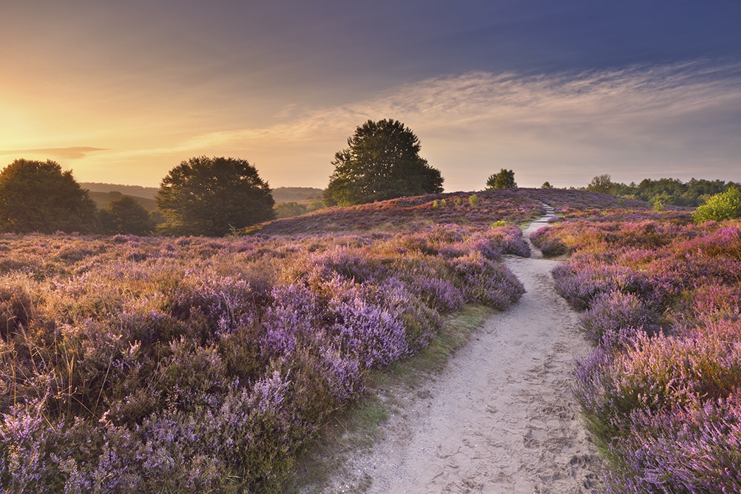 Wat te doen in Gelderland? 33 Uitjes, activiteiten + vakantiehuisjes Wat te doen in Gelderland? 33 Uitjes, activiteiten + vakantiehuisjes