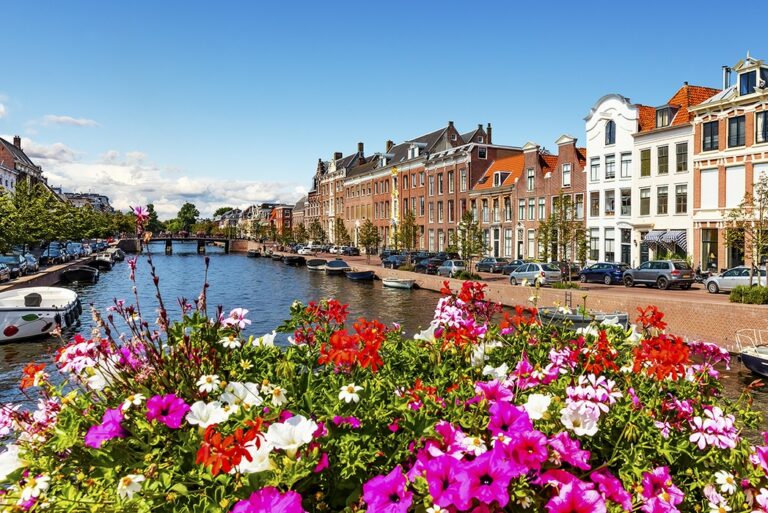 Wat te doen in NoordHolland? Alle highlights! Wat te doen in NoordHolland? Alle highlights!