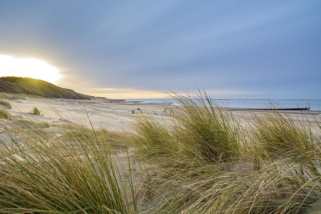 Heerlijk niets Virus 5 x de mooiste stranden van Nederland