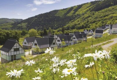 Een rij huizen met zwarte daken op een groene heuvel bij Dormio Eifeler Tor, omgeven door wilde bloemen onder een blauwe lucht.