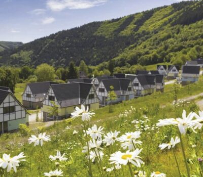 Een rij huizen met zwarte daken op een groene heuvel bij Dormio Eifeler Tor, omgeven door wilde bloemen onder een blauwe lucht.